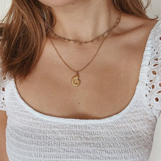 The Shijin Necklace